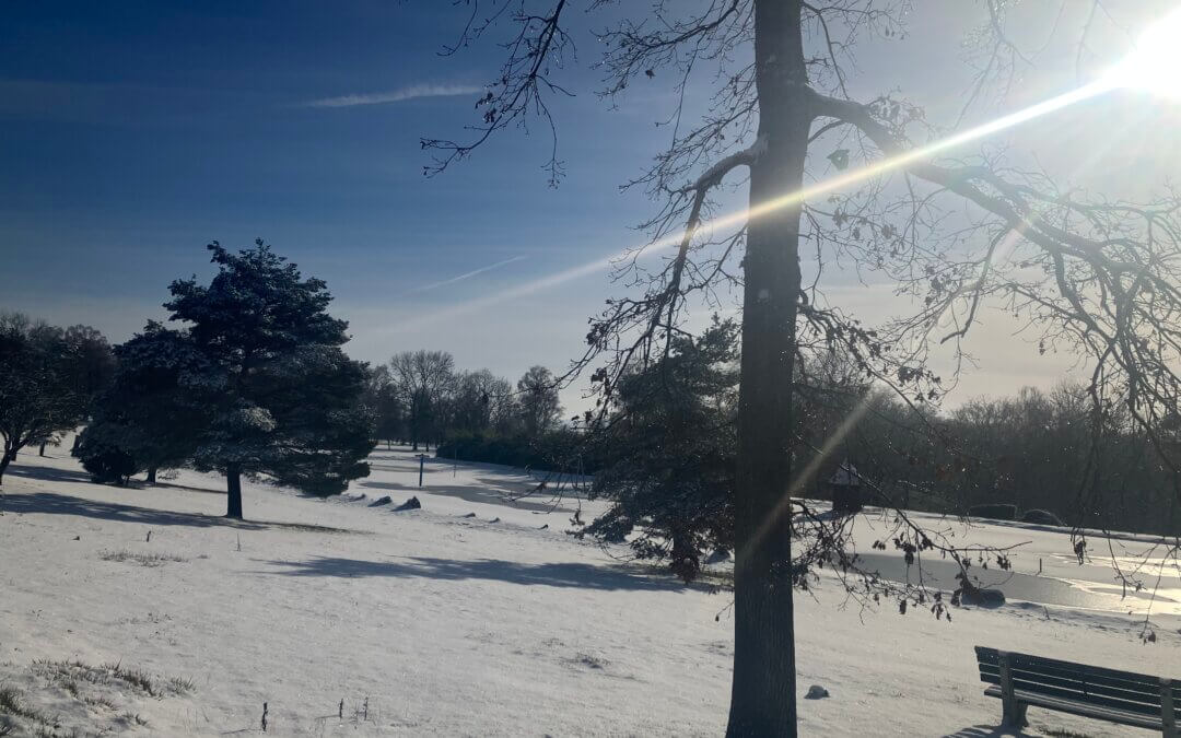 Bonne année à tous !